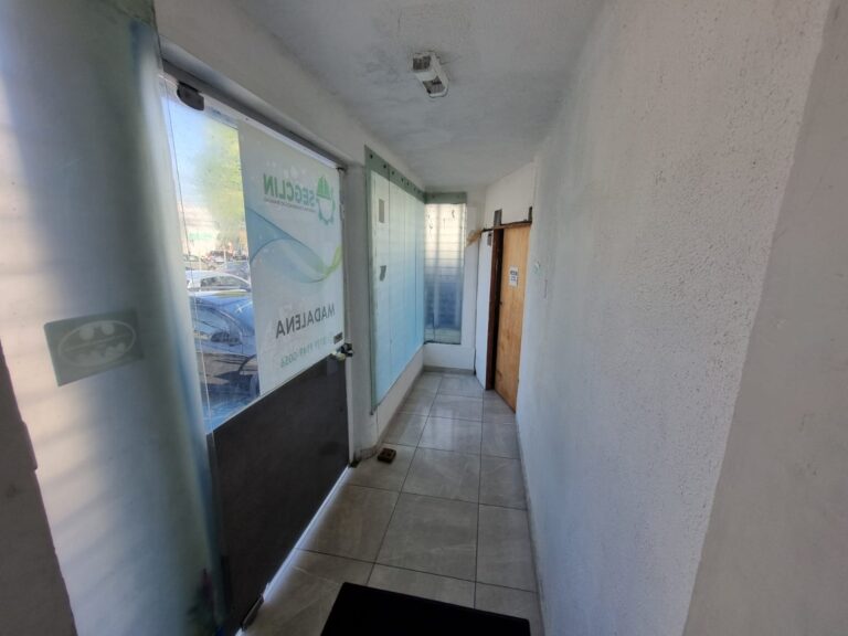 WhatsApp Image 2026-03-04 at 15.36.16 (1)