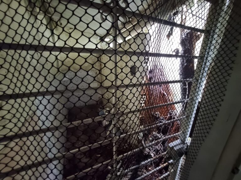 WhatsApp Image 2026-08-18 at 10.16.40 (2)